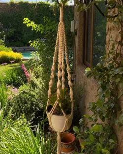 Colgante de planta simple