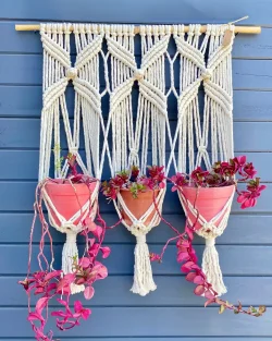 Colgante de plantas Triple